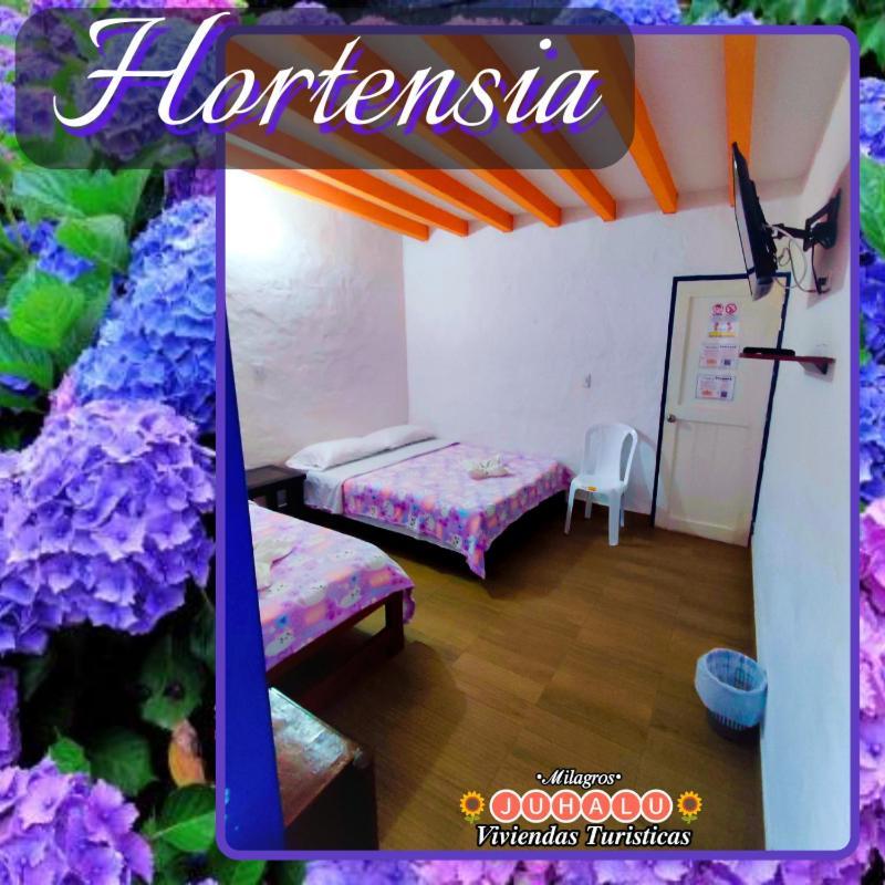 ᒍᑌᕼᗩᒪᑌ Hotell Jericoc  Rom bilde