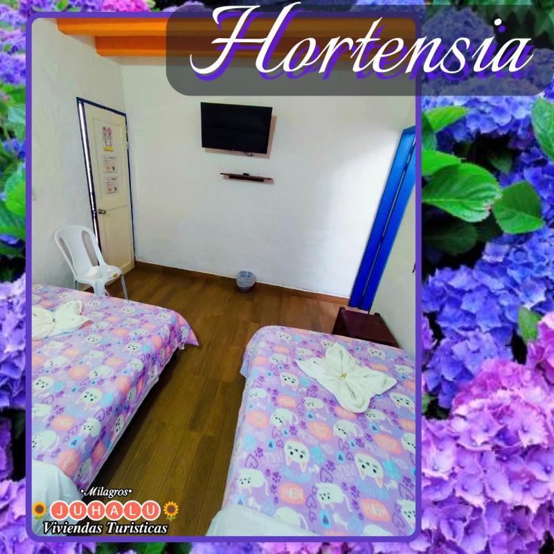 ᒍᑌᕼᗩᒪᑌ Hotell Jericoc  Rom bilde